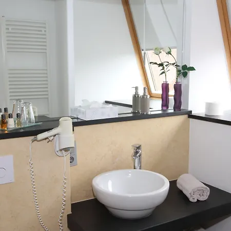 Designhotel Im Suedfeld 4* קאמן